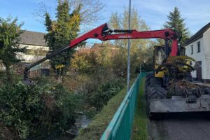 Landschaftspflegefoto: Fällungen am Gewässerlauf